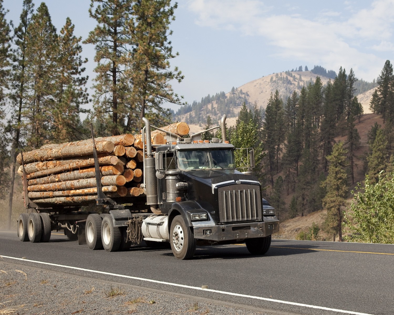 Millett — illustrative photo (log truck forest road)
