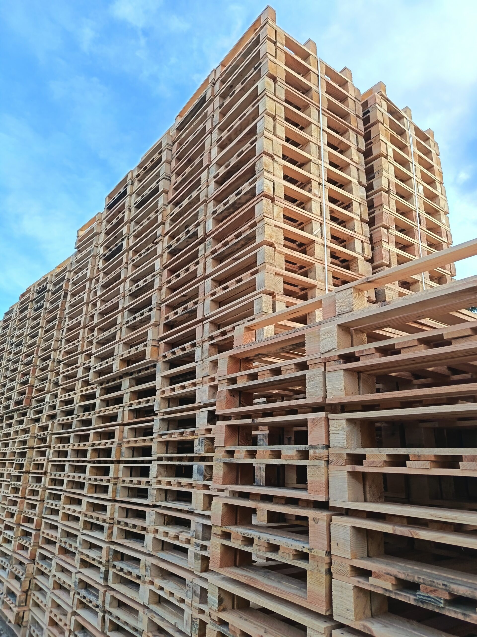 Rosko — illustrative photo (wooden pallets stack)