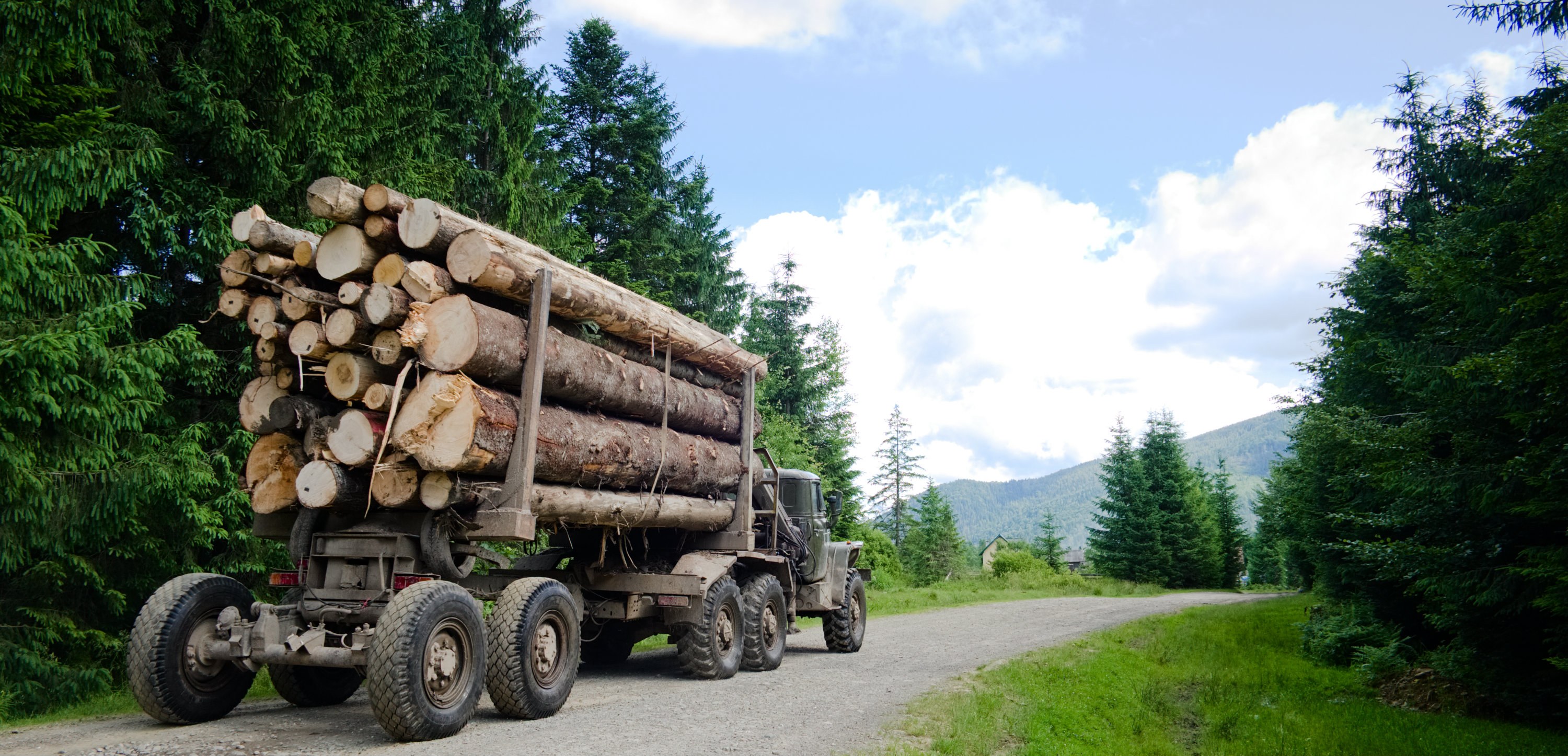 Rosko — illustrative photo (log truck forest road)