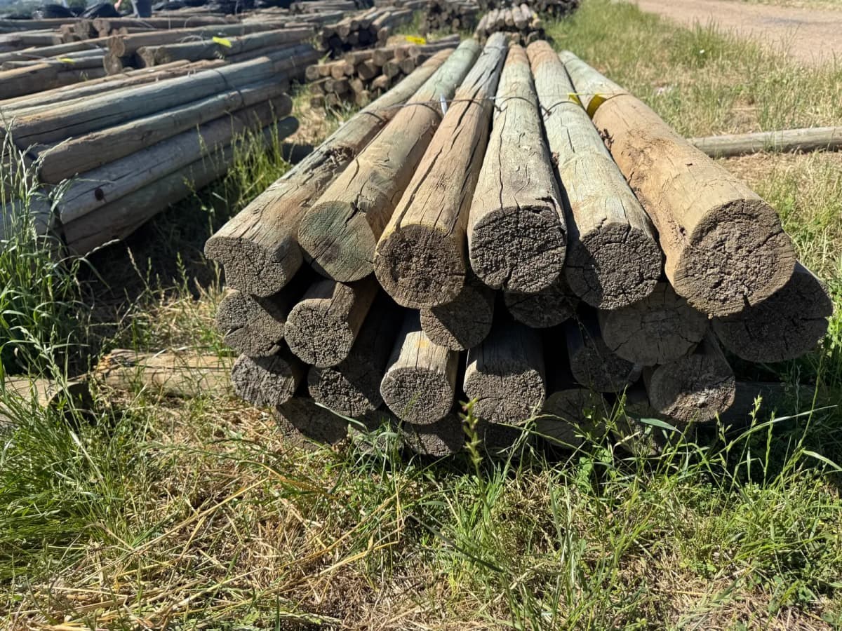 Sedgewick — illustrative photo (fence posts lumber yard)