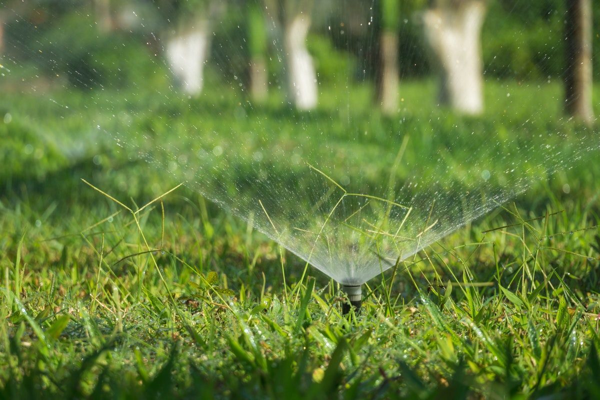 Irrigation in action