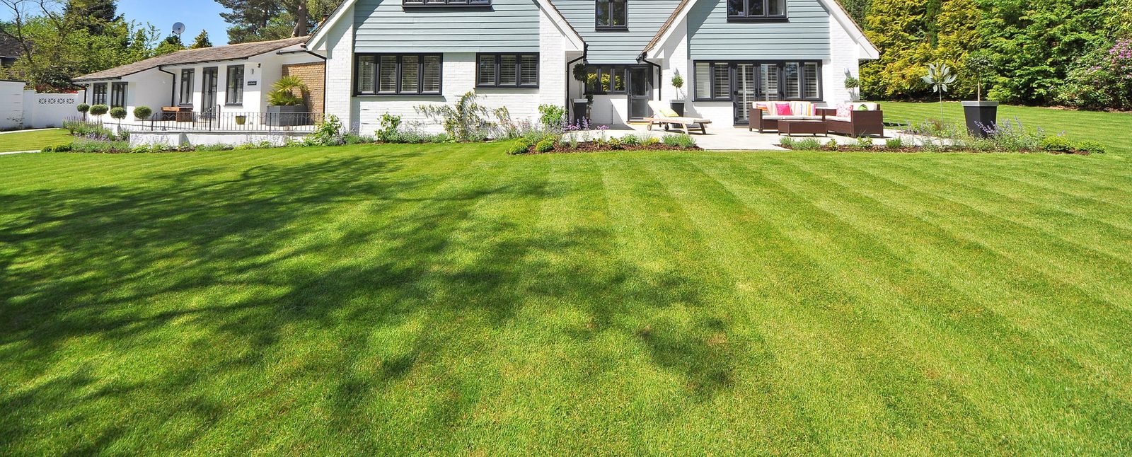 Neat green lawn