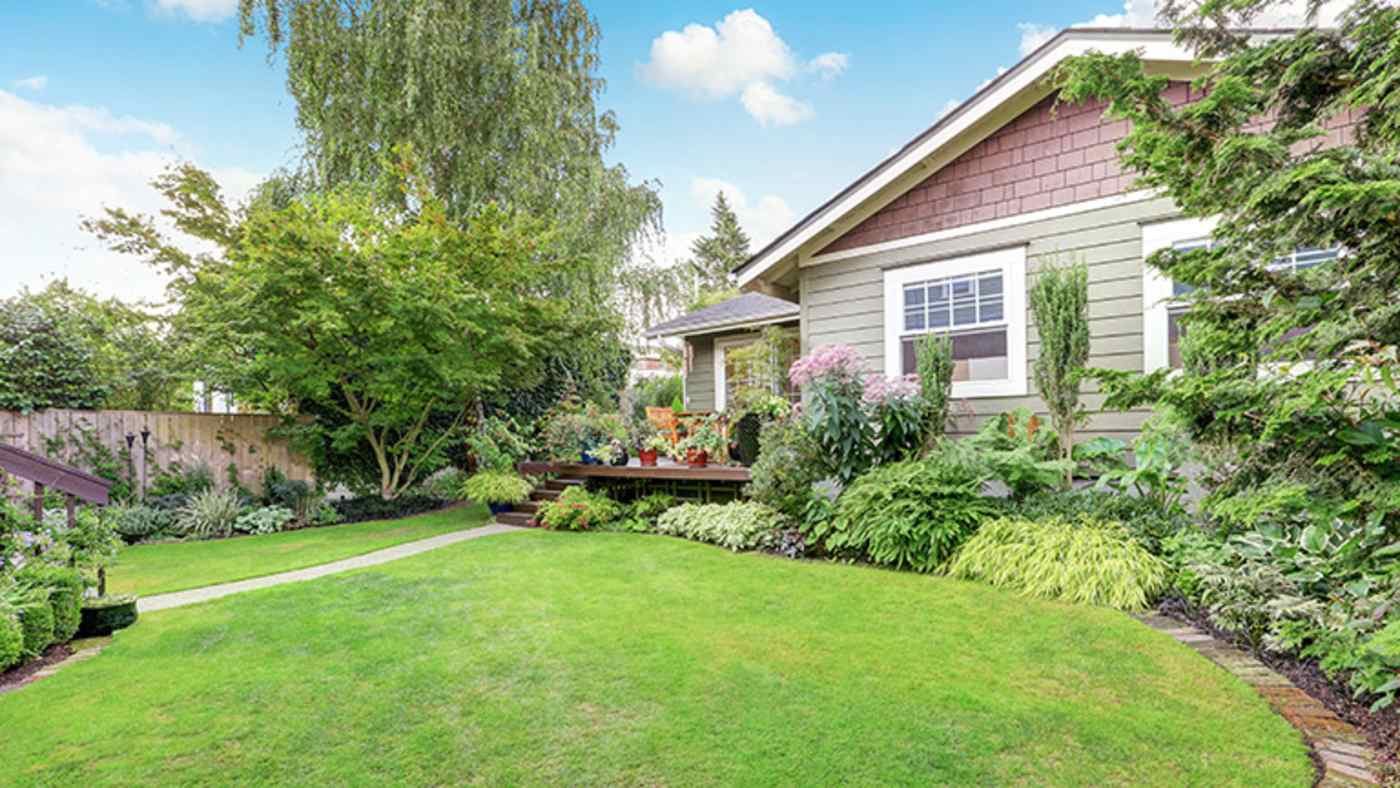 Tidy, healthy lawn
